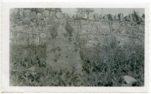 Image description is not available for PHO-4-W689-1176